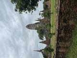 IMG_4311