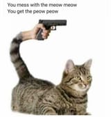 1752707399582453