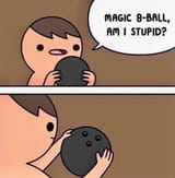 1706366333525263