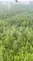There are reportedly no survivors from the crash of the An-24 passenger plane in Russia’s Amur region, according to Russian media 24-07-2025 49 people on board HD_thumb.jpg