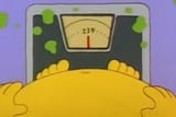 Homer weight