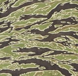 TigerStripe