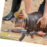 moodeng