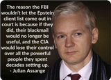 assange cia blackmail epstein