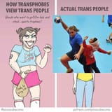 transphobes vs trans people