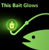 Bait