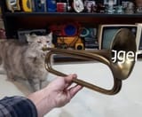 cat-gger