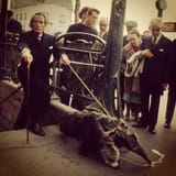 dali-anteater1