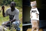catnigger