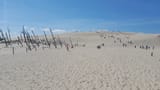 IMG_20250724_145738