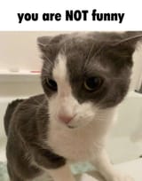 NOT-funny