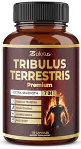 71JuRLrzM9L