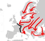 1750455048797471