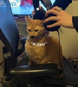 1733685989461010