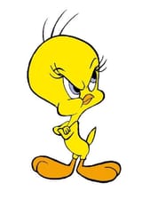 904243aa97118a0c885befa13d28301b--tweety