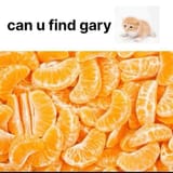 507043826_1262079178613109_523441017282947942_n