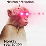 neuron-activated