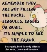 Bird flu