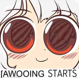 awoo starts now