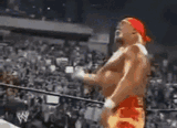yes-sir-hulk-hogan