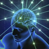 huge brain