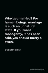 why-get-married-for-human-beings-marriage-is-such-1-1