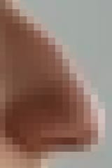 nose