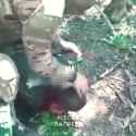 6daff70183af8d6592dffe2d065cce09_thumb.jpg