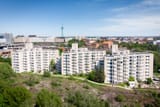 paulank_2_LOW-0855