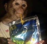 420o7yn0en481