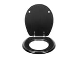 1-carbon-fiber-toilet-seat