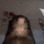 856343330577317929