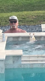 who_let_the_dogs_in