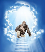 DicksOutForHarambe