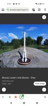 Screenshot_20250724-215358