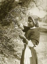 palestine 16