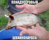 1683837067208