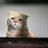 sad at