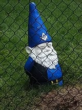 nwo gnome