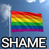 shameflag