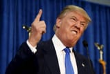 trump_beaver