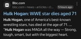 Hulk Hogan 2025