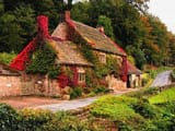 england