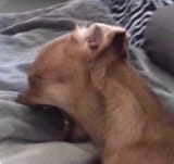 suffering