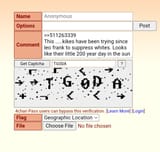 1000017743