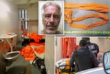 Jeffrey-Epstein