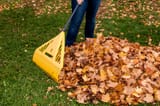 Leafpost+10+day+of+the+rake+when+_b0d36832b0036eee0469d27acc848a66