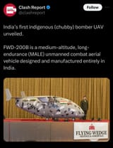 chubby indian incell male plane 