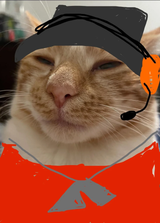 smeowt