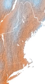 1742009271975518